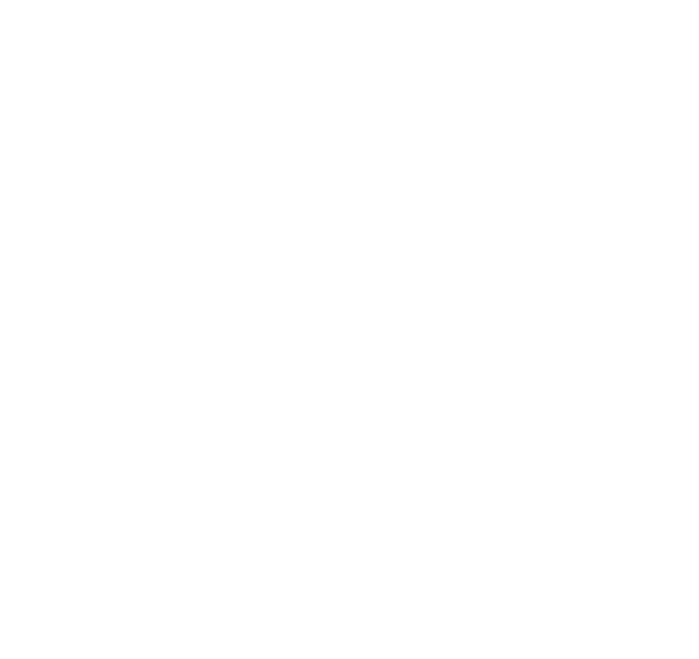 Pinopilo 2
